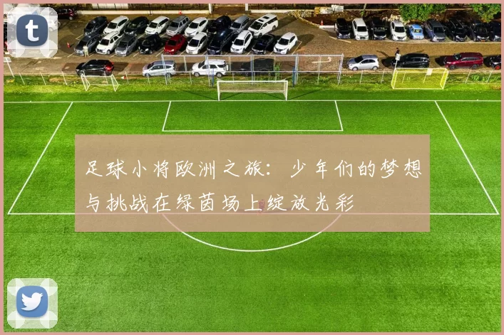 足球小将欧洲之旅：少年们的梦想与挑战在绿茵场上绽放光彩