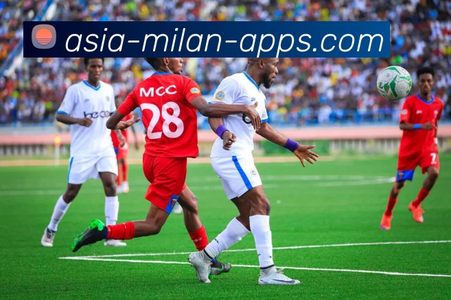 App Interface Preview