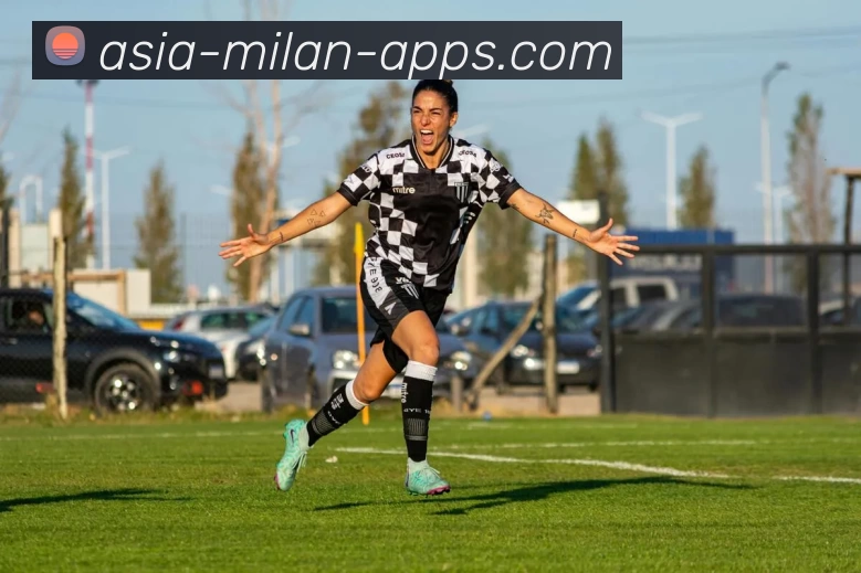 米兰体育APP 封面图